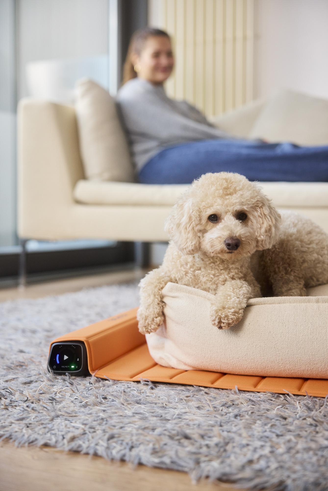 BEMER Dog Line